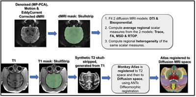 Investigating the contribution of cytoarchitecture to diffusion MRI measures in gray matter using histology